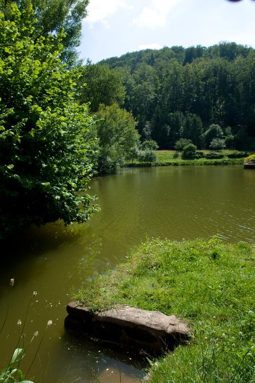 Auberge D'Imsthal La Petite-Pierre Buitenkant foto