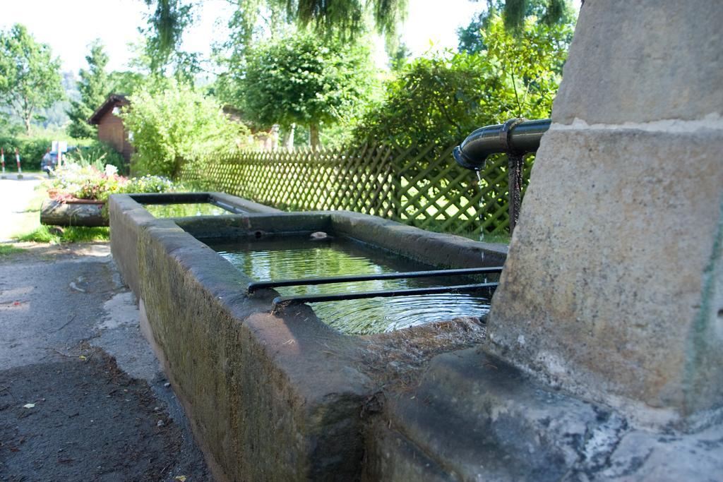 Auberge D'Imsthal La Petite-Pierre Buitenkant foto