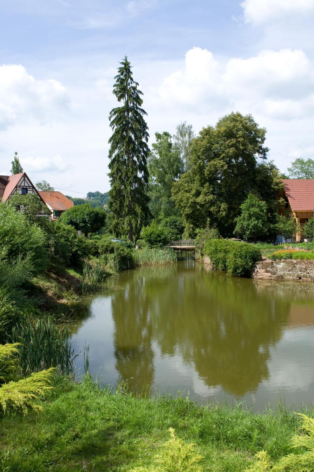 Auberge D'Imsthal La Petite-Pierre Buitenkant foto